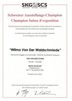Diplom für den Schweizer Ausstellungs-Champion von der deutschen Dogge Wilma von der Waldschmiede