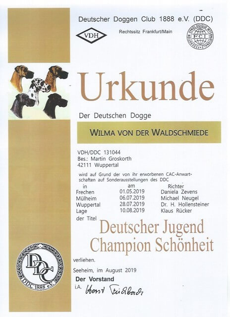 Diplom für den DDC Jugend Champion von der deutschen Dogge Wilma von der Waldschmiede